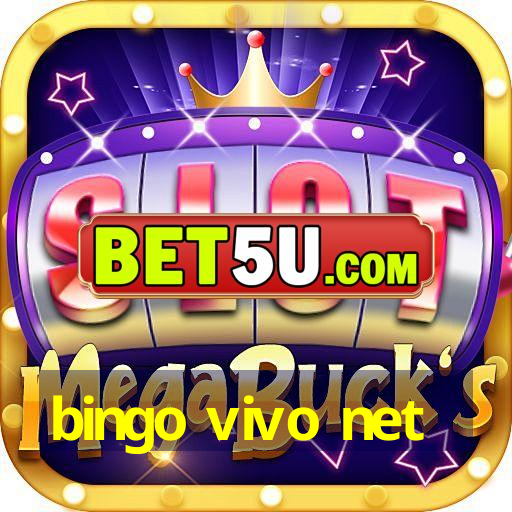 bingo vivo net